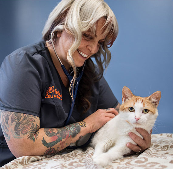 vet smiling with cat