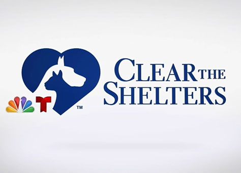 clear the shelters